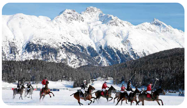 Winter Polo - what you need to know