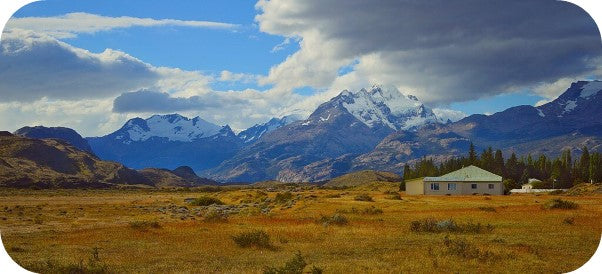 a pasture with the mountains of patagonia in the backgroud