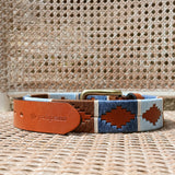 pampeano Belt - Arenoso