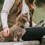 Auswahl zwischen einem beliebigen Pampeano-Ledergürtel und 2 Hundehalsbändern - Geschenkpaket