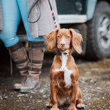 Auswahl aus 2 beliebigen Hundehalsbändern und 2 Leinen aus Leder – Geschenkpaket