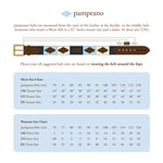 Choice of Any Leather pampeano Polo Belt and 2 Dog Collars - Gift Package - pampeano UK