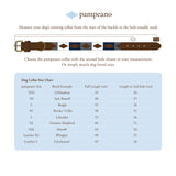 Choice of Any 2 Leather Dog Collars - Gift Package - pampeano UK