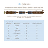 Choice of Any 2 Leather pampeano Polo Belts and Dog Collar - Gift Package - pampeano UK