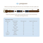 Choice of Any Leather Dog Collar and Lead - Gift Package - pampeano UK