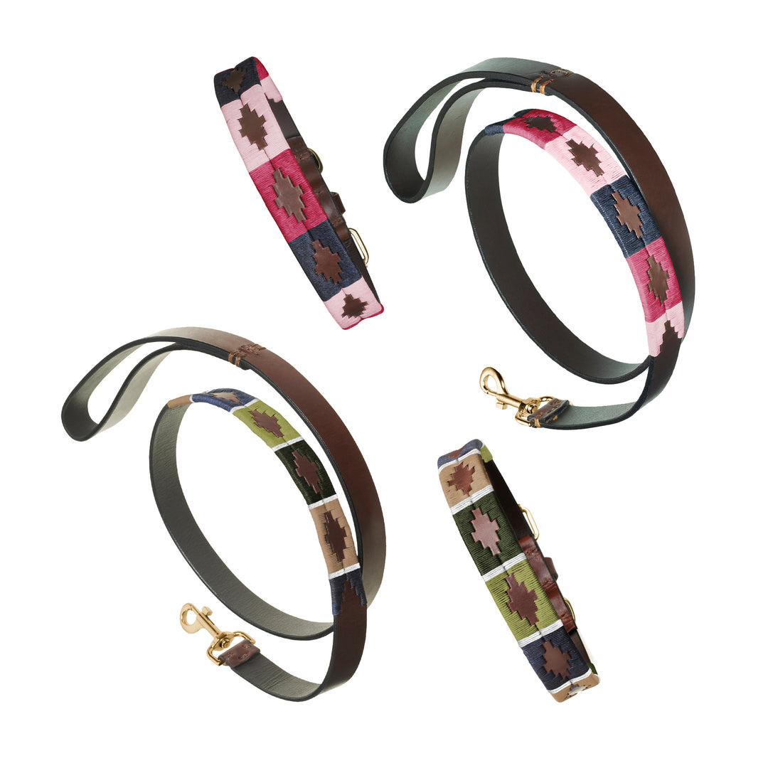 Choice of Any 2 Leather Dog Collars and Leads - Gift Package - pampeano UK