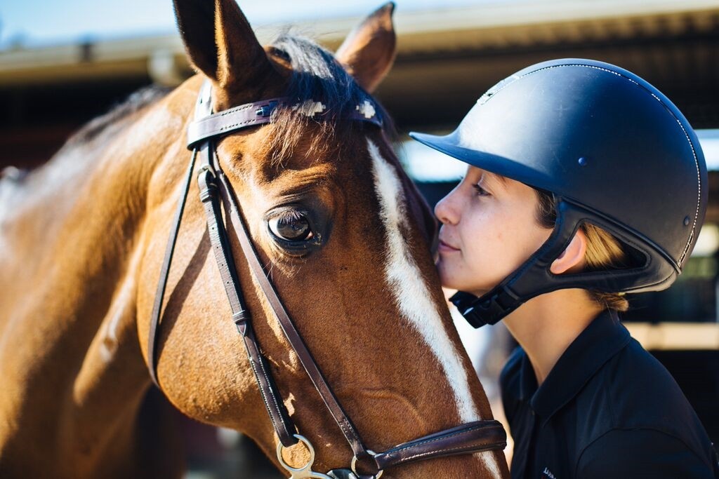 Around the equestrian world with pampeano
