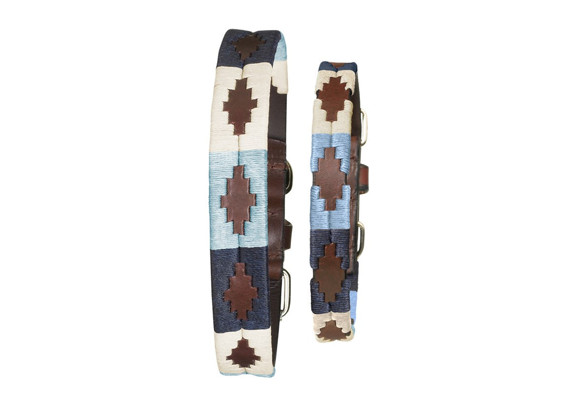National Pet Month 2020 & New Dog Accessories for Spring
