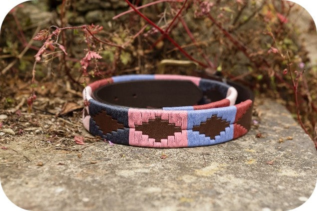 leather belt on a wall in front of a red/brown hedge