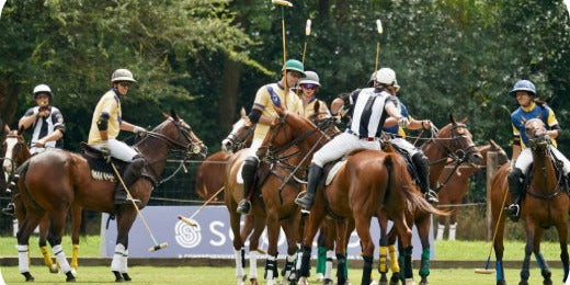 Polo Culture’s Influence: How the Sport Shaped Designs, Colours, and Brands