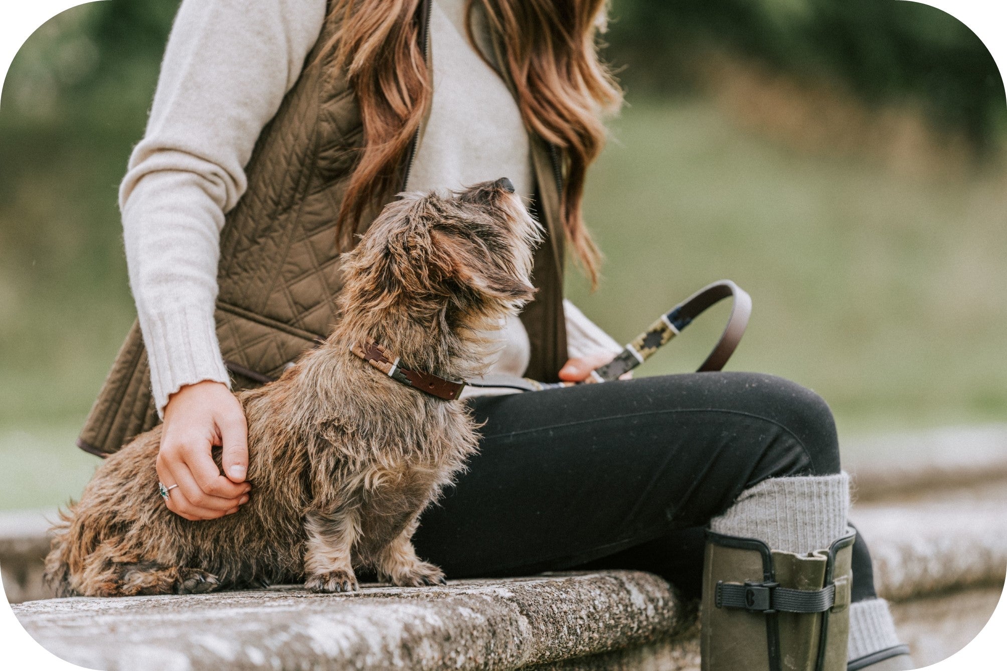dog and woman sitting on a wall