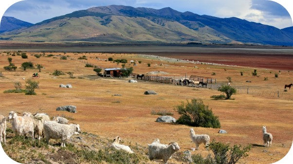 ranch on an open plain with mountains behind