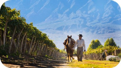 man and horse