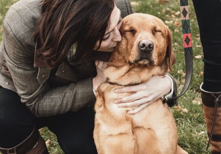 owner hugging dog