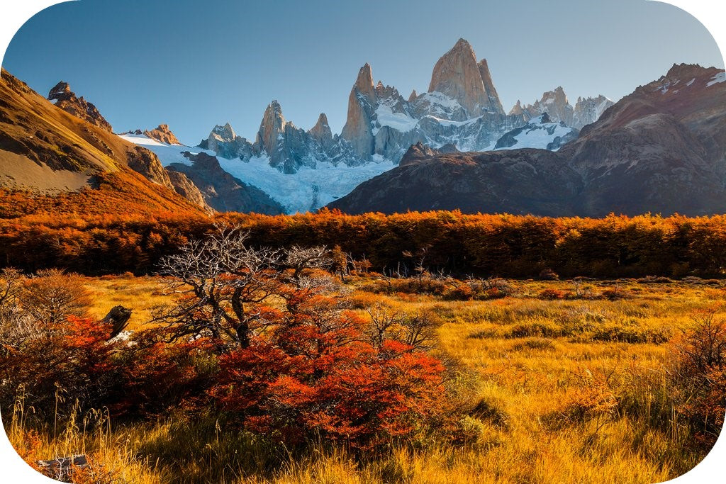 grassy field with mountains behind