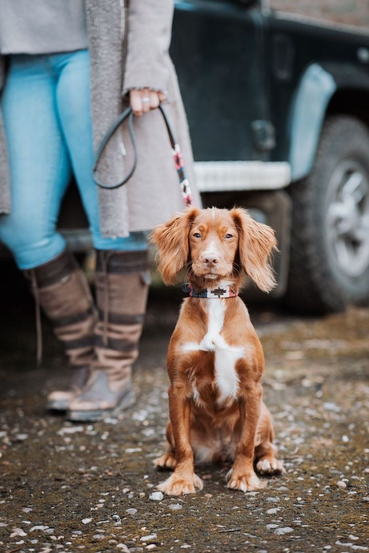 Leather Dog Leads