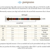 Choice of Any 2 Leather pampeano Belts and Dog Collar - Gift Package