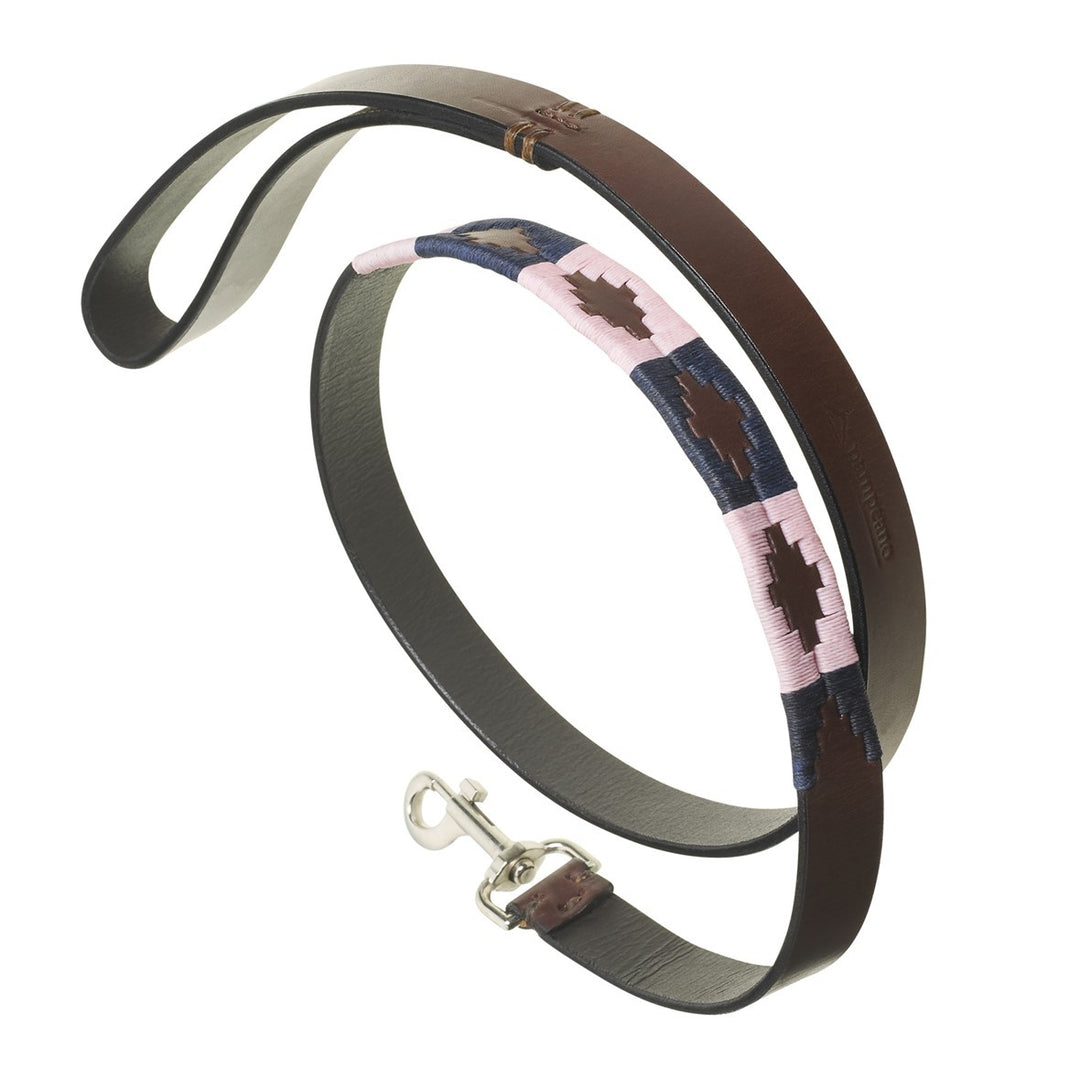 Choice of Any 2 Leather Dog Collars and Leads - Gift Package