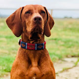 Dog Collar - Cruzada