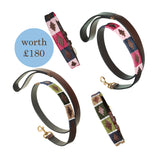 Choice of Any 2 Leather Dog Collars and 2 Leads - Gift Package