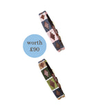 Choice of Any 2 Leather Dog Collars - Gift Package
