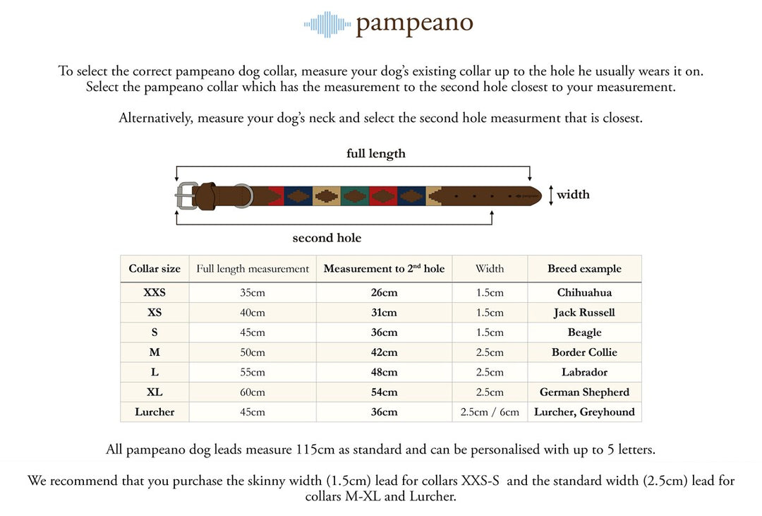 Auswahl zwischen einem beliebigen Pampeano-Ledergürtel und 2 Hundehalsbändern - Geschenkpaket