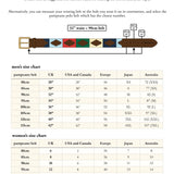 Choice of Any 2 Leather pampeano Belts - Gift Package
