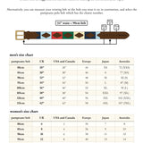 any 3 leather pampeano belts