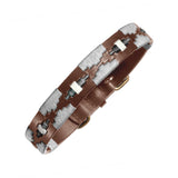 design your own dog collar - Benito
