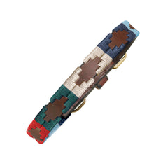 Dog Collar - Multi
