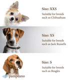 design your own dog collar - Benito
