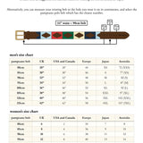 Choice of Any 2 Leather pampeano Belts and Dog Collar - Gift Package
