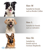 design your own dog collar - Benito