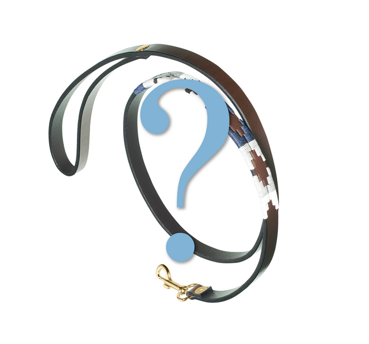 Mystery Dog Leads