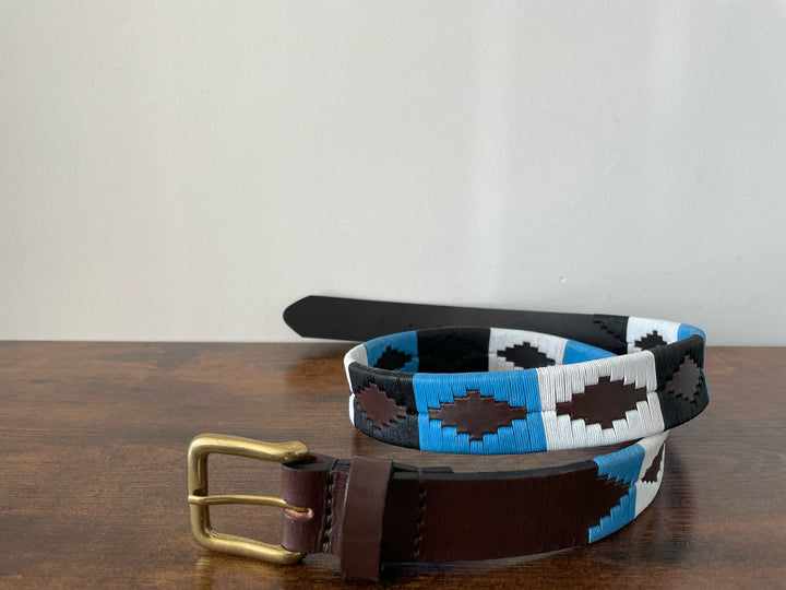 pampeano belt - Oceano
