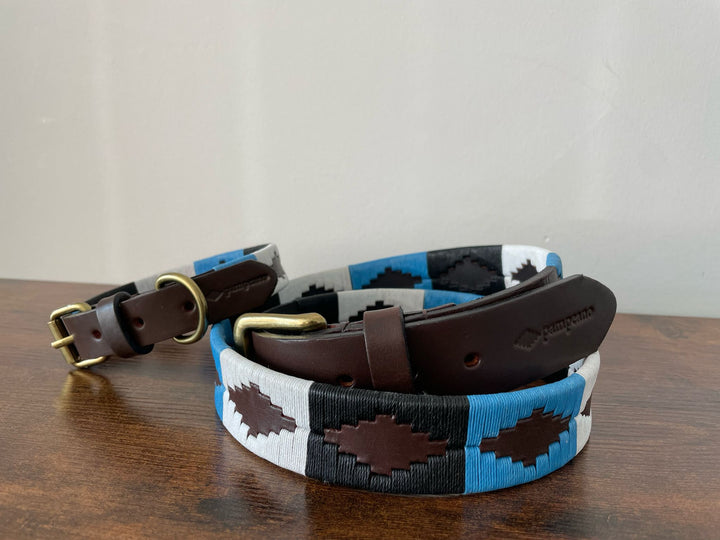 Dog Collar - Oceano