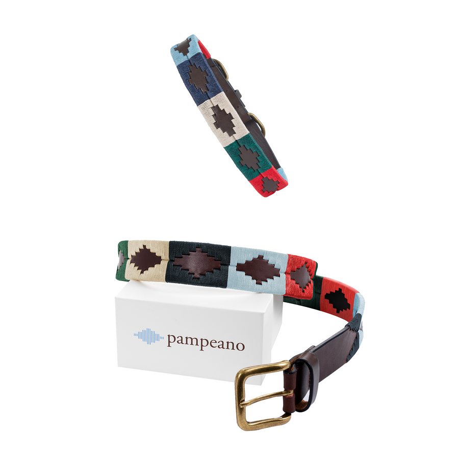 Pampeano Leather Dog Collar Audaz main image 0