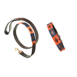 Auswahl an Hundehalsband und Leine aus Leder – Geschenkpaket