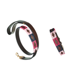 Auswahl an Hundehalsband und Leine aus Leder – Geschenkpaket