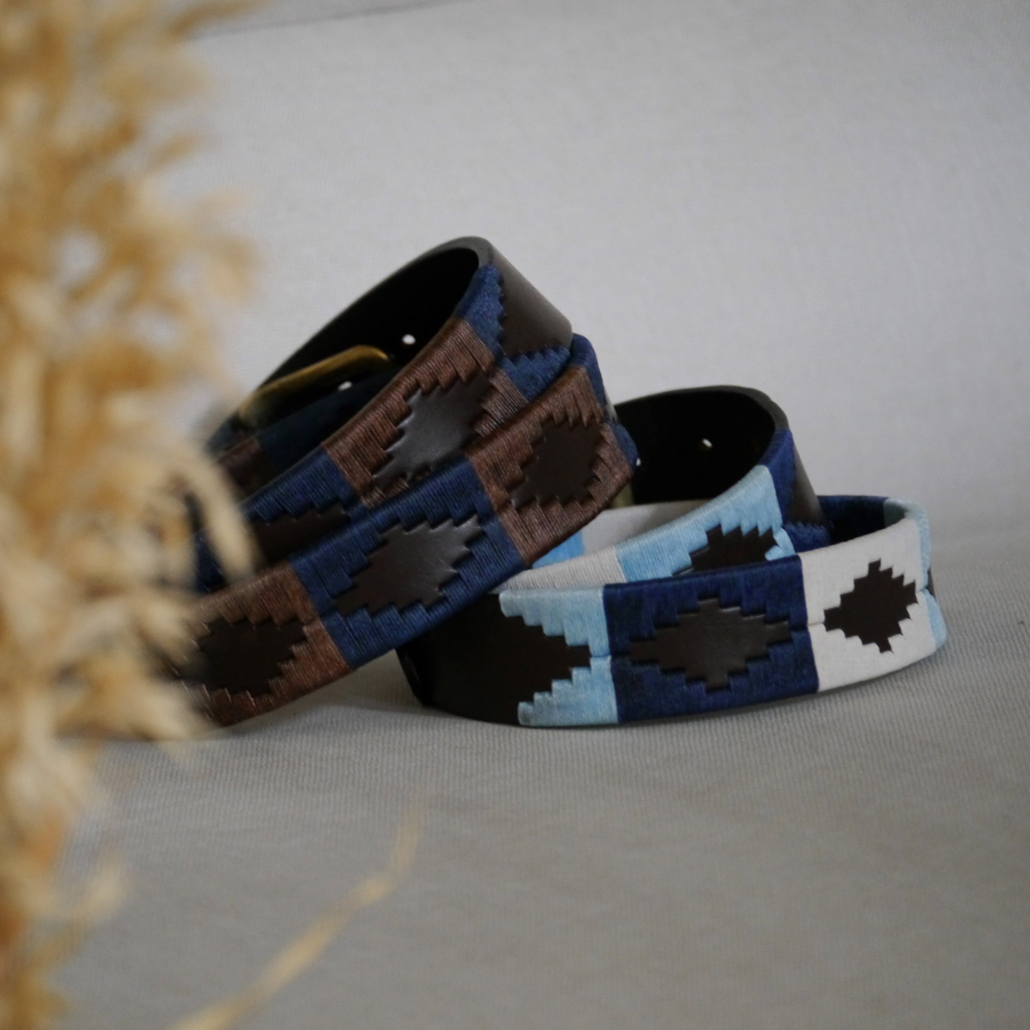 pampeano Belt - Desierto