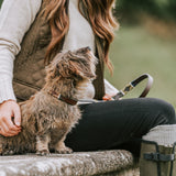 Design Your Own Slim Dog Lead - Carmen