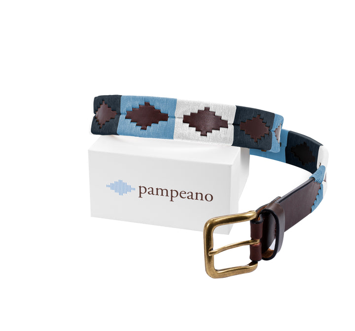 pampeano belt - Oceano