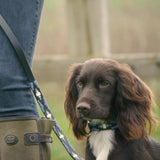 Design Your Own Slim Dog Lead - Benito