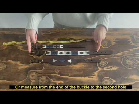 Dog Collar - Caza