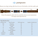 Mystery Dog Collars