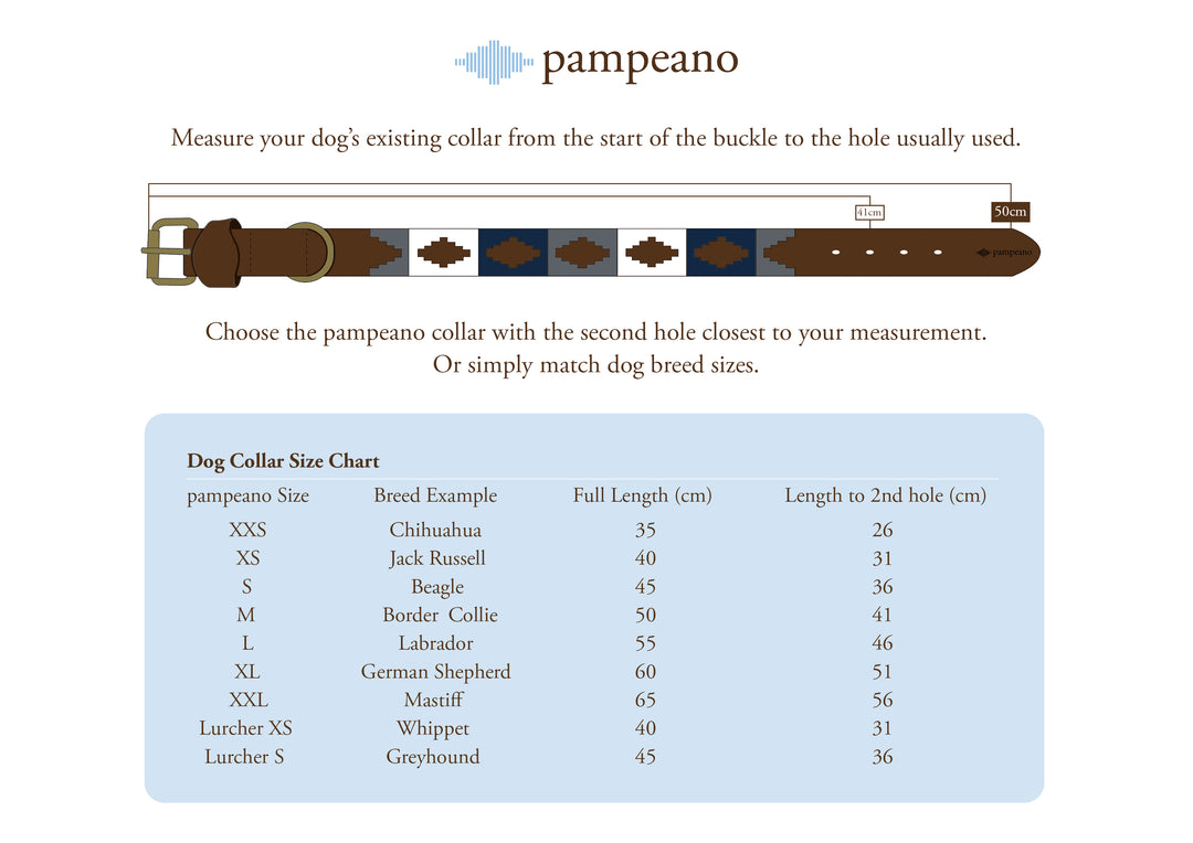 Mystery Dog Collars
