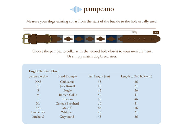 Mystery Dog Collars
