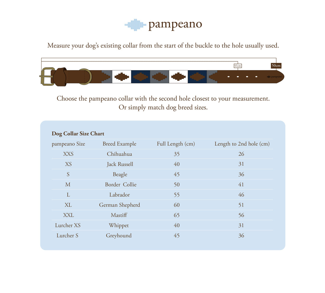 Choice of Any 2 Leather pampeano Polo Belts and Dog Collar - Gift Package - pampeano UK